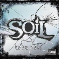 True Self cover art